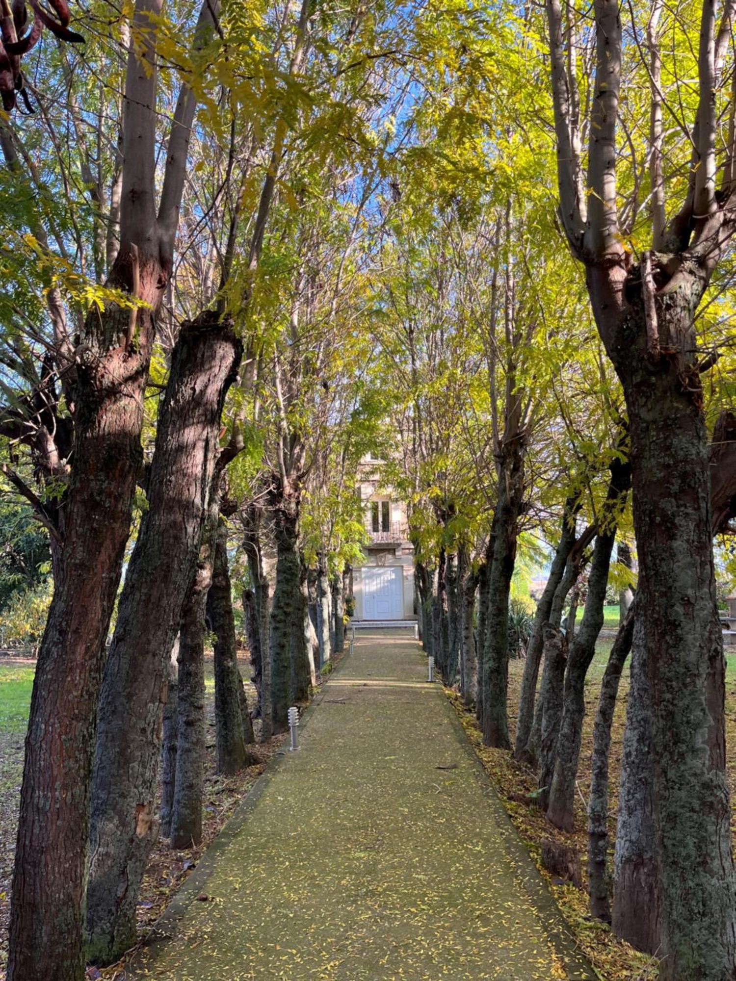 Villa Merenciana Agoncillo Eksteriør billede