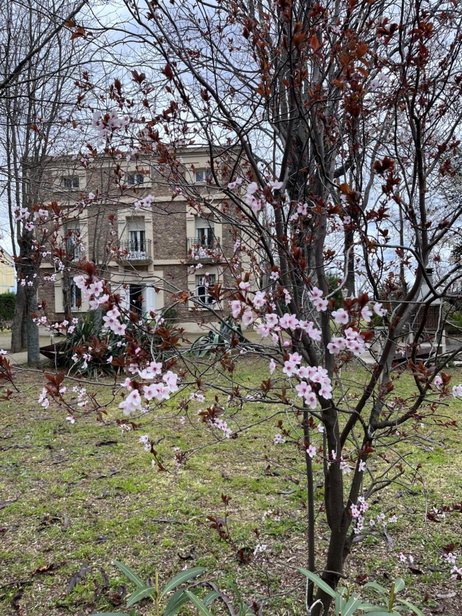 Villa Merenciana Agoncillo Eksteriør billede